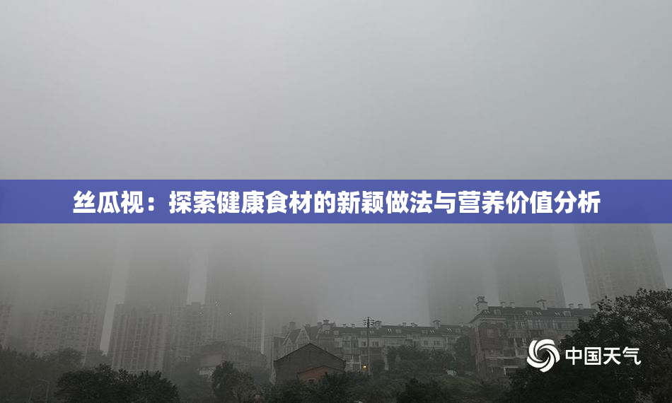 丝瓜视：探索健康食材的新颖做法与营养价值分析