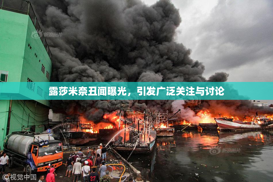 露莎米奈丑闻曝光，引发广泛关注与讨论