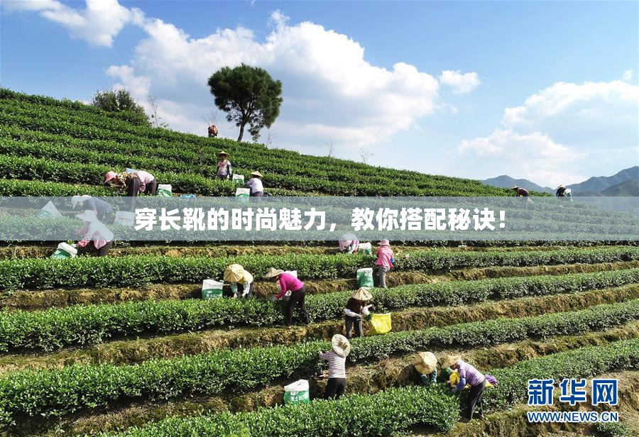 穿长靴的时尚魅力，教你搭配秘诀！