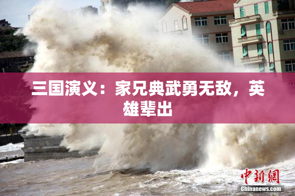 三国演义：家兄典武勇无敌，英雄辈出