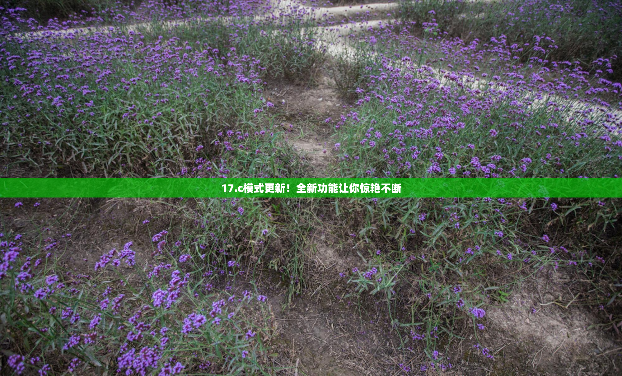 17.c模式更新！全新功能让你惊艳不断