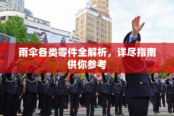 雨伞各类零件全解析，详尽指南供你参考