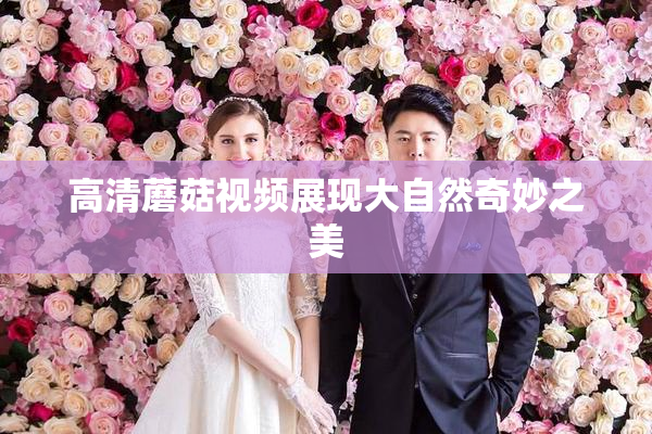 高清蘑菇视频展现大自然奇妙之美