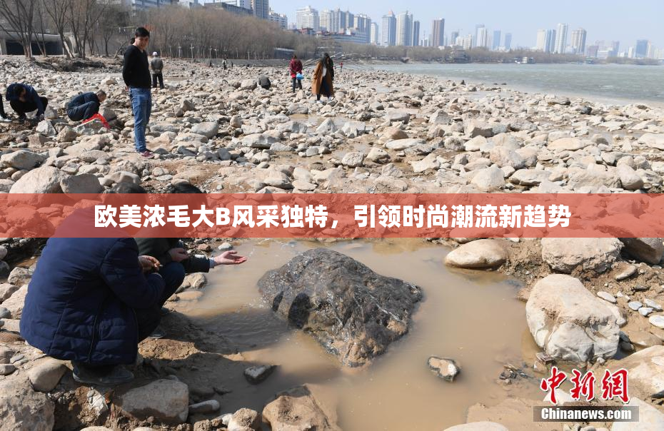 欧美浓毛大B风采独特，引领时尚潮流新趋势