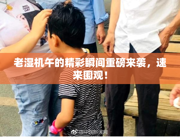 老湿机午的精彩瞬间重磅来袭，速来围观！