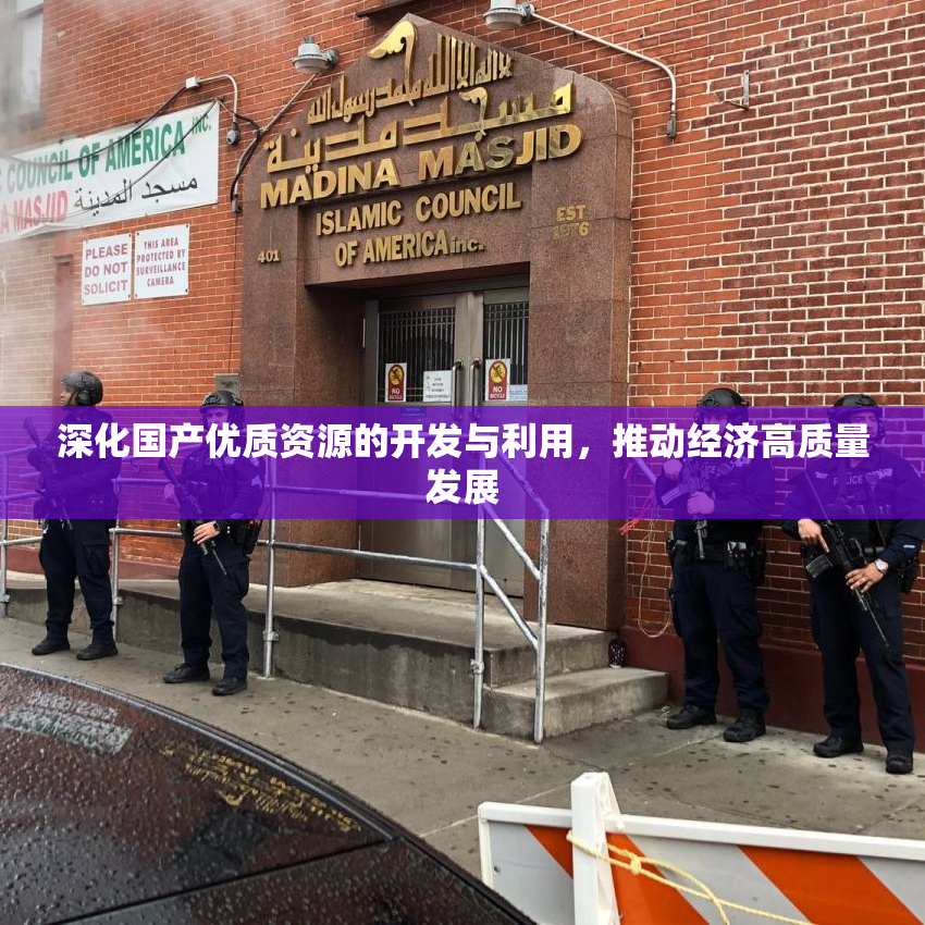 深化国产优质资源的开发与利用，推动经济高质量发展
