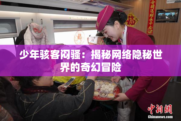 少年骇客闷骚：揭秘网络隐秘世界的奇幻冒险