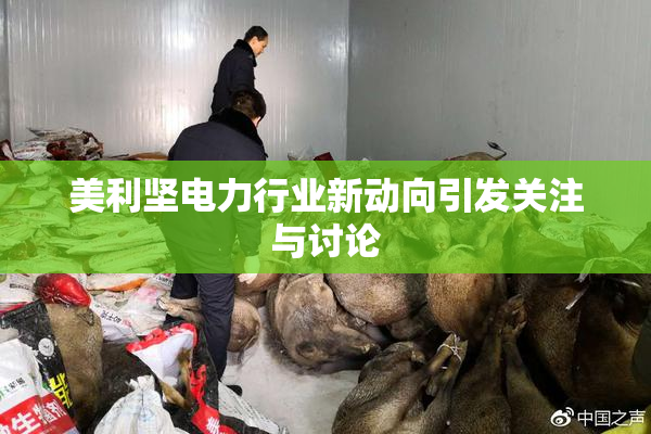 美利坚电力行业新动向引发关注与讨论