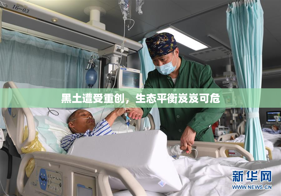 黑土遭受重创，生态平衡岌岌可危