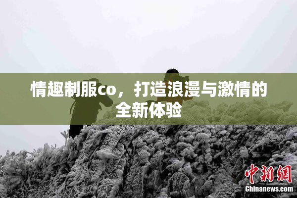 情趣制服co，打造浪漫与激情的全新体验