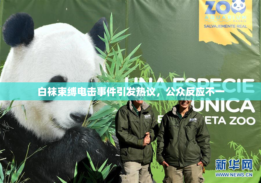 白袜束缚电击事件引发热议，公众反应不一