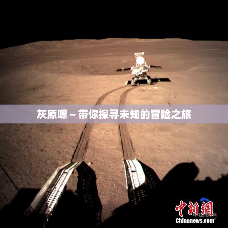 灰原嗯～带你探寻未知的冒险之旅