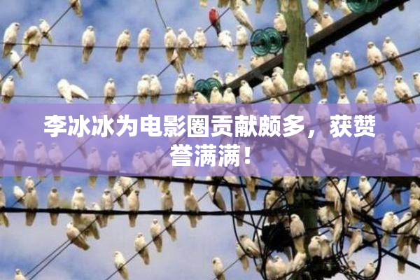 李冰冰为电影圈贡献颇多，获赞誉满满！
