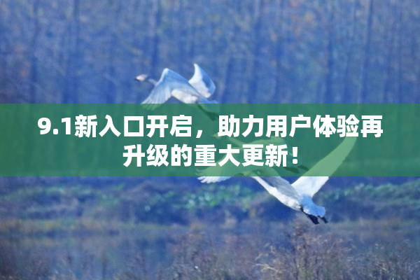 9.1新入口开启，助力用户体验再升级的重大更新！