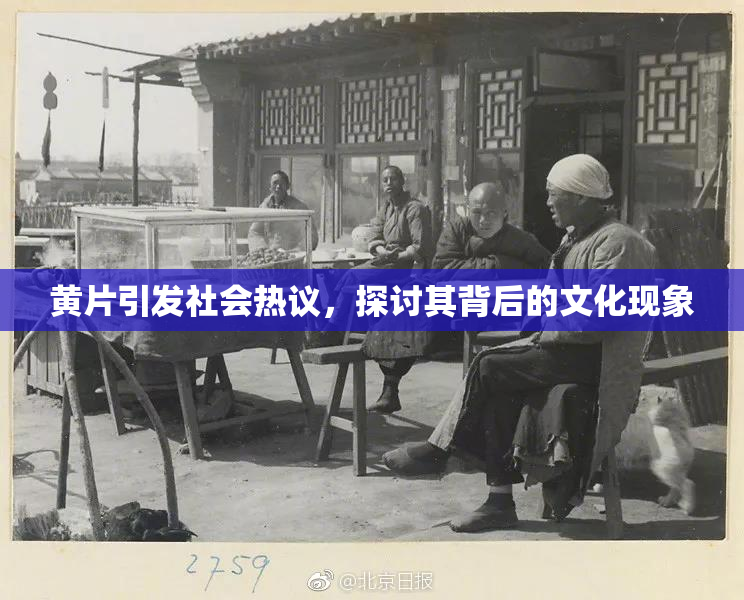 黄片引发社会热议，探讨其背后的文化现象