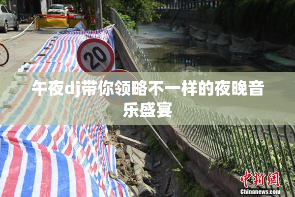 午夜dj带你领略不一样的夜晚音乐盛宴