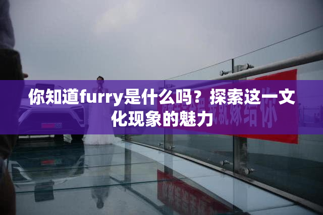 你知道furry是什么吗？探索这一文化现象的魅力