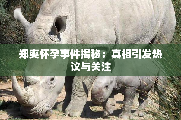 郑爽怀孕事件揭秘：真相引发热议与关注