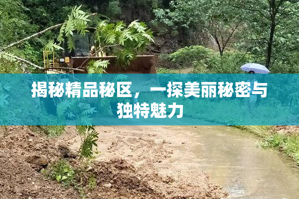 揭秘精品秘区，一探美丽秘密与独特魅力