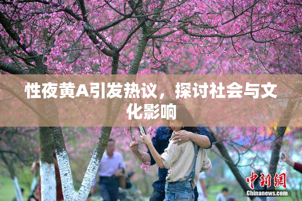 性夜黄A引发热议，探讨社会与文化影响