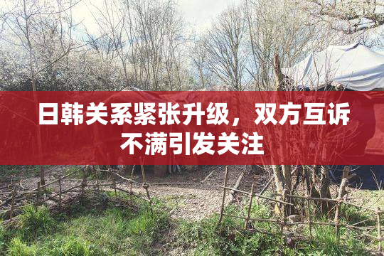 日韩关系紧张升级，双方互诉不满引发关注