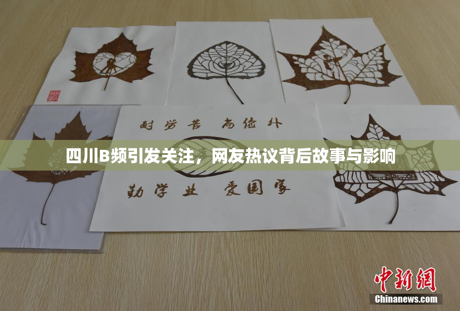 四川B频引发关注，网友热议背后故事与影响