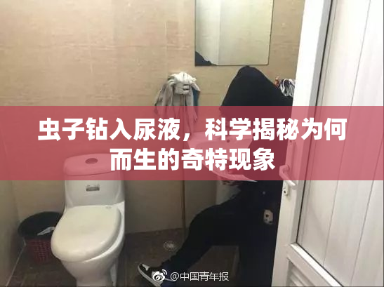 虫子钻入尿液，科学揭秘为何而生的奇特现象