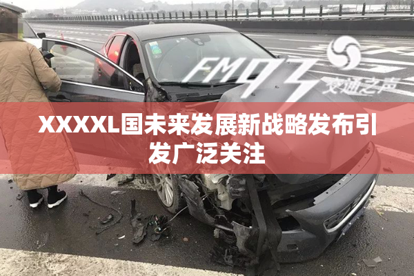 XXXXL国未来发展新战略发布引发广泛关注