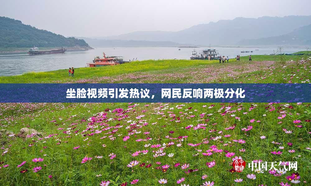 坐脸视频引发热议，网民反响两极分化