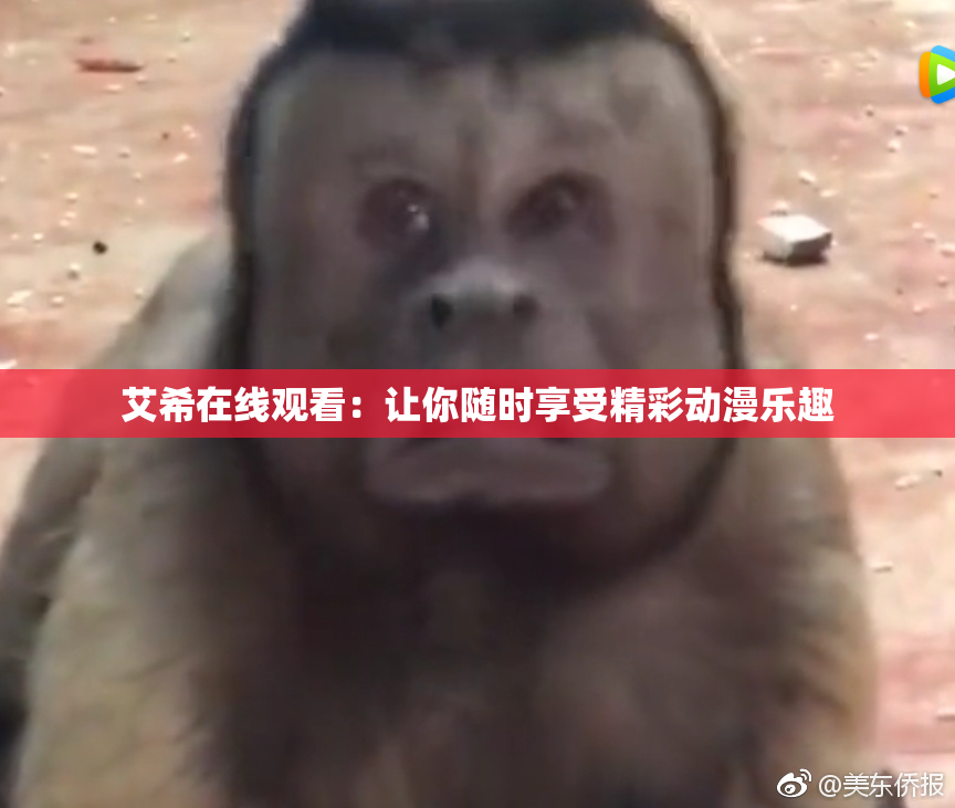 艾希在线观看：让你随时享受精彩动漫乐趣