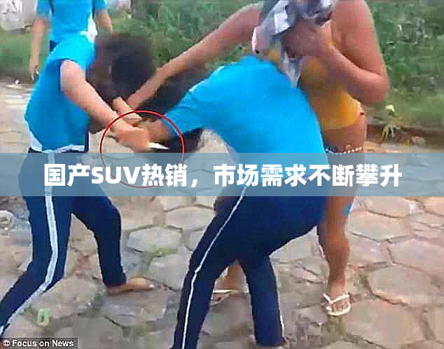 国产SUV热销，市场需求不断攀升