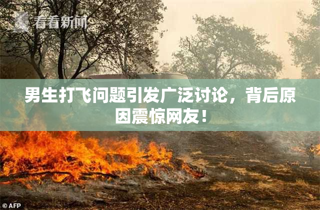 男生打飞问题引发广泛讨论，背后原因震惊网友！
