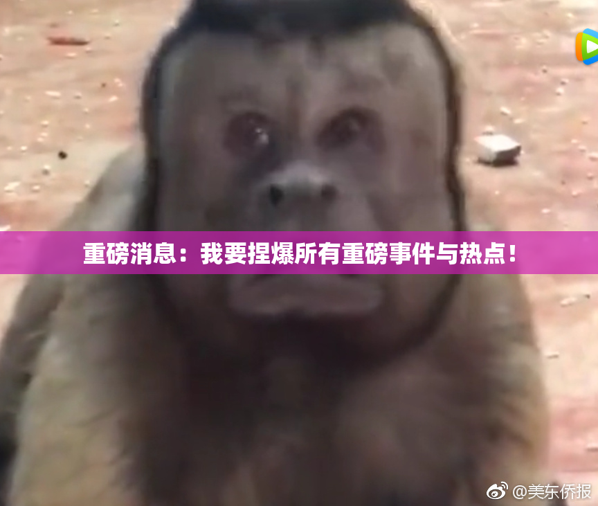 重磅消息：我要捏爆所有重磅事件与热点！