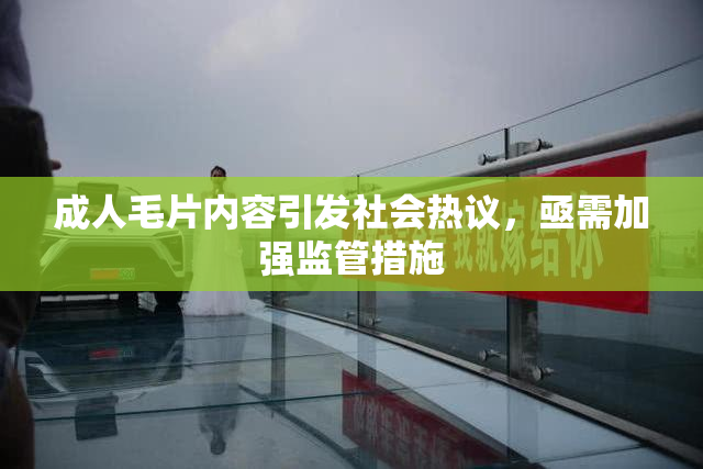 成人毛片内容引发社会热议，亟需加强监管措施