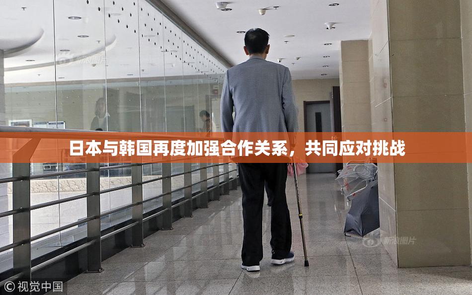 日本与韩国再度加强合作关系，共同应对挑战