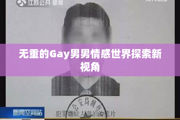 无重的Gay男男情感世界探索新视角