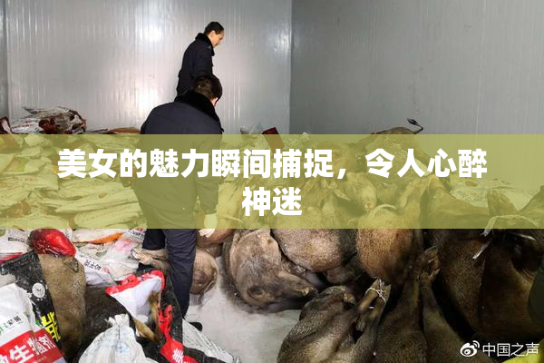美女的魅力瞬间捕捉，令人心醉神迷
