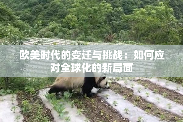 欧美时代的变迁与挑战：如何应对全球化的新局面