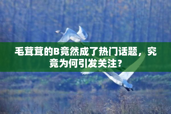 毛茸茸的B竟然成了热门话题，究竟为何引发关注？