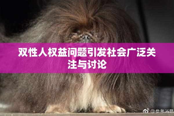 双性人权益问题引发社会广泛关注与讨论
