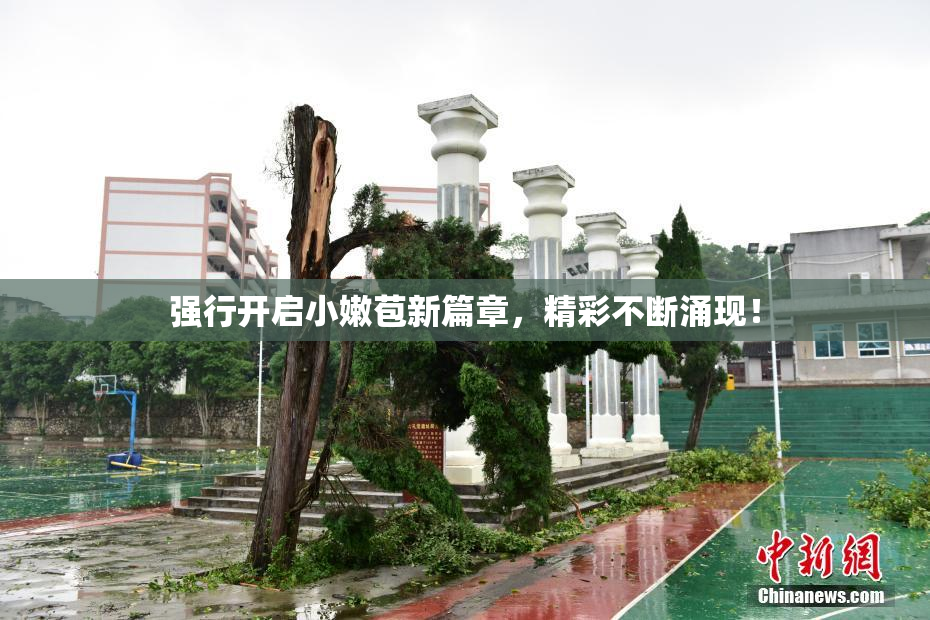 强行开启小嫩苞新篇章，精彩不断涌现！
