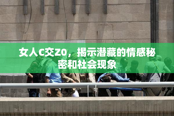 女人C交Z0，揭示潜藏的情感秘密和社会现象