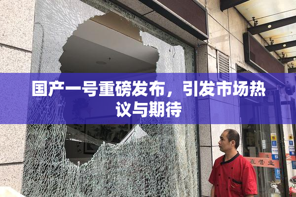 国产一号重磅发布，引发市场热议与期待