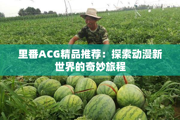 里番ACG精品推荐：探索动漫新世界的奇妙旅程