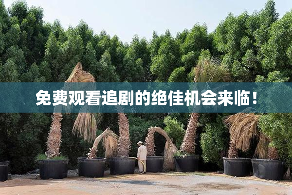 免费观看追剧的绝佳机会来临！