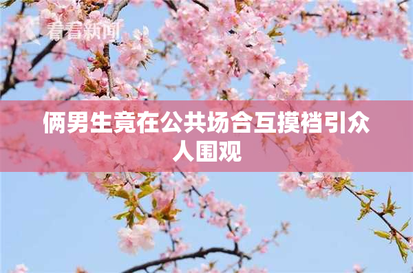 俩男生竟在公共场合互摸裆引众人围观