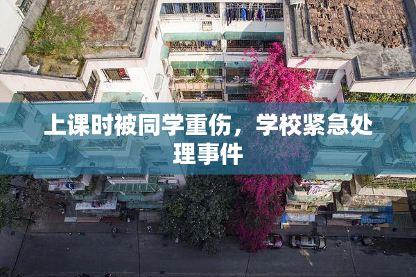 上课时被同学重伤，学校紧急处理事件