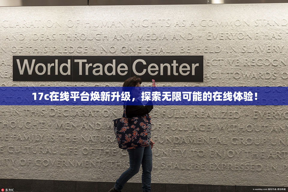 17c在线平台焕新升级，探索无限可能的在线体验！