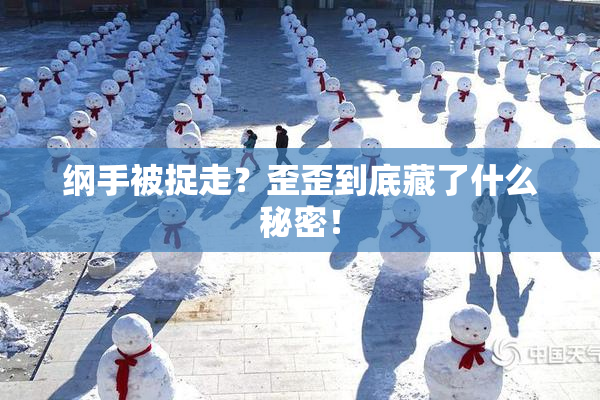 纲手被捉走？歪歪到底藏了什么秘密！