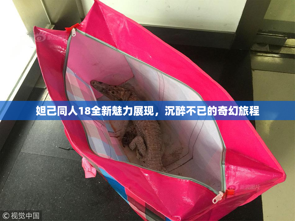 妲己同人18全新魅力展现，沉醉不已的奇幻旅程